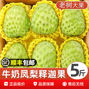 牛奶释迦果新鲜现摘水果当季林檎果整箱10斤凤梨番石榴广西摩尼果