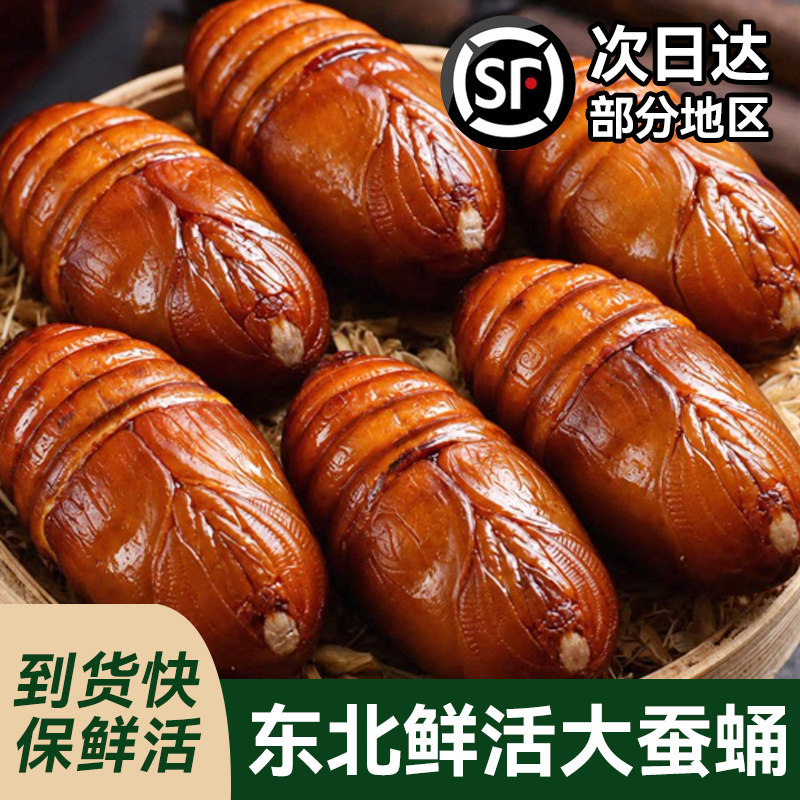 东北鲜活柞蚕蛹大个蚕蛹活蝉蛹