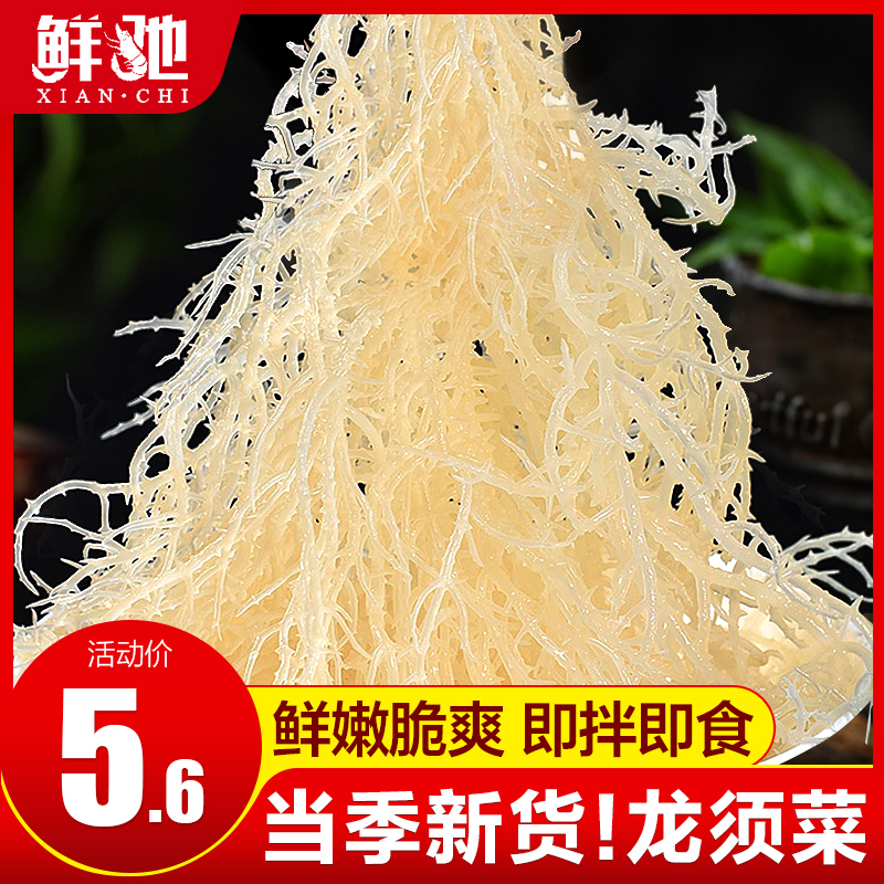 新鲜龙须菜4斤石花菜鹿角菜海藻海石花珊瑚草裙带菜干货凉拌商用