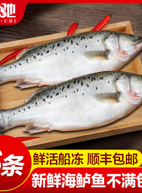 海鲈鱼新鲜冷冻海鱼鲜活深海鱼6条七星鱼海鲜水产海产品冰鱼卢鱼