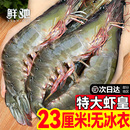 大虾鲜活特大号基围虾青岛海鲜生鲜冻虾白虾水产王牌速冻冷冻新鲜