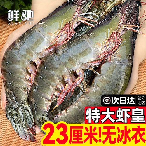 50万回购！亏本冲量！净重无冰！