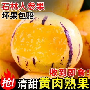 云南石林人参果10斤新鲜大果应季整箱人叁果水果七彩黄肉圆果包邮