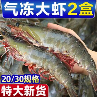 鲜驰特大新鲜大虾冷冻青虾对虾海虾冻虾渤海基围虾一整箱白虾p发