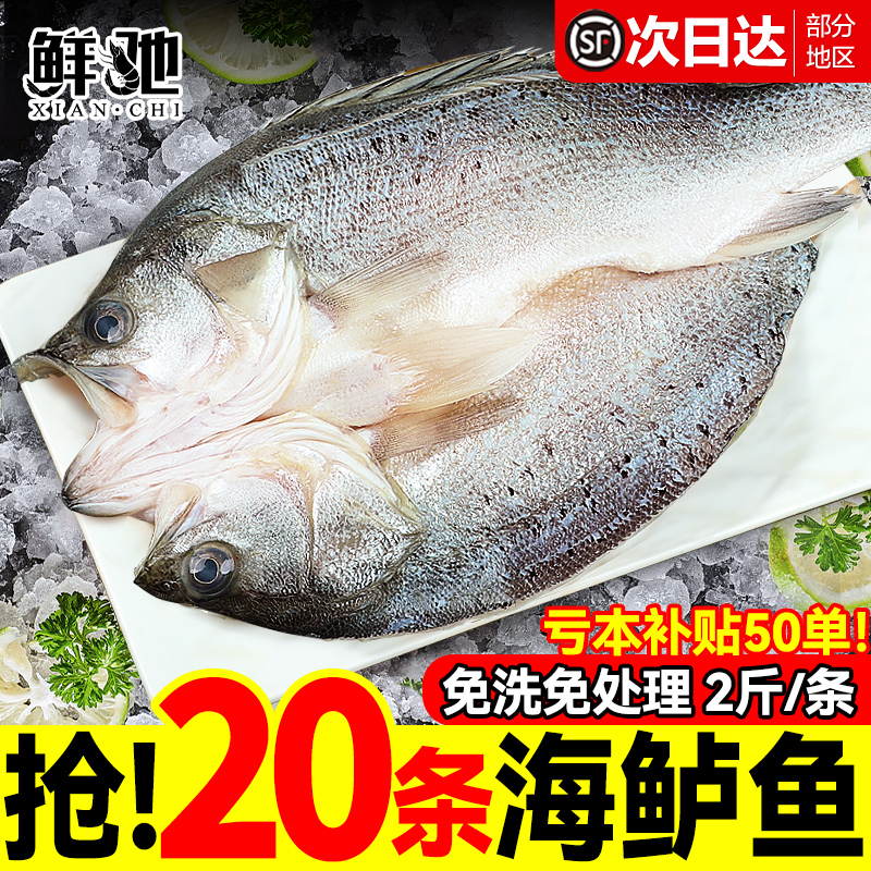 开背海鲈鱼免处理新鲜烤鱼半成品