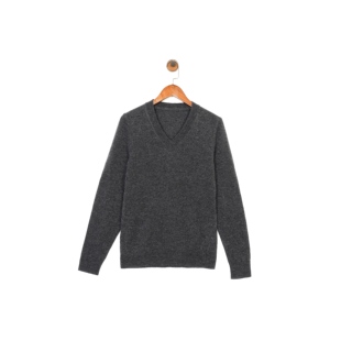 贸易公司样衣 男款 100%羊毛 休闲V领套头针织衫毛衣 两色