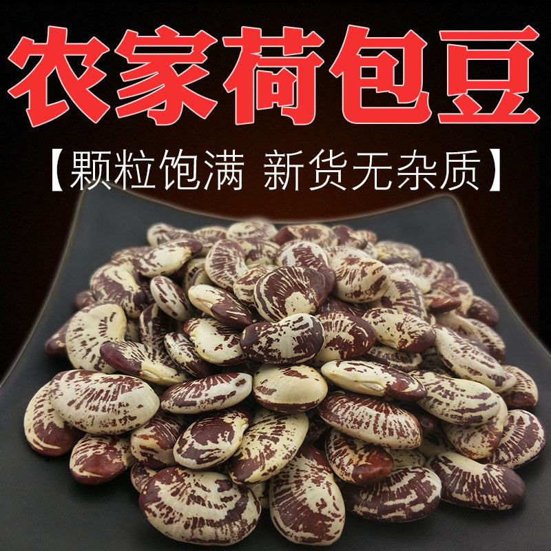 农家新鲜荷包豆大肾豆五谷杂粮何包豆大粒花豆粗粮花纹豆祛湿豆子