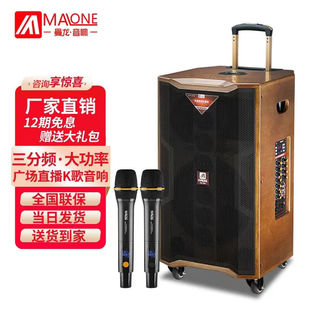 曼龙（MALONE）户外广场舞音响大功率重低音网红直播唱k歌演出带