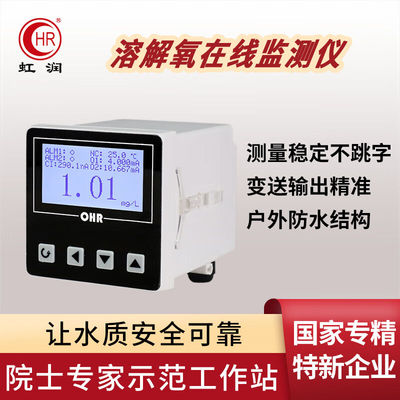 虹润溶氧仪工业在线溶解氧测定仪监控仪传感器水含氧量检测仪DO10