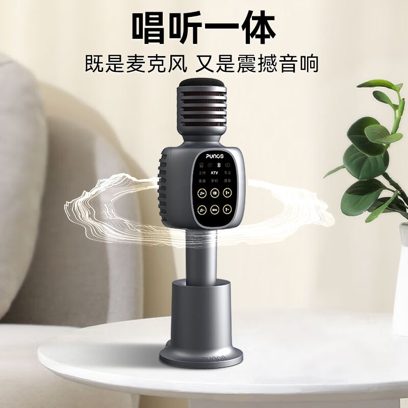 Punos新标杆40W双磁喇叭户外k歌麦克风音响一体手机other/其他 0