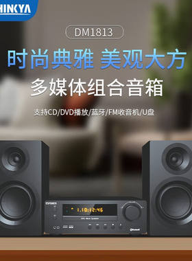 THINKYADM-1813音响音箱迷你K歌音响CD机CD/VCD/DVD播放器FM收音