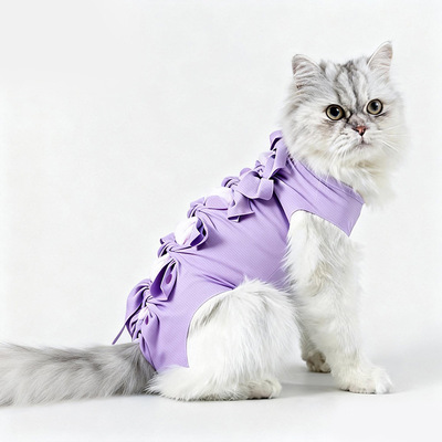 猫咪绝育服术后恢复可调节防舔