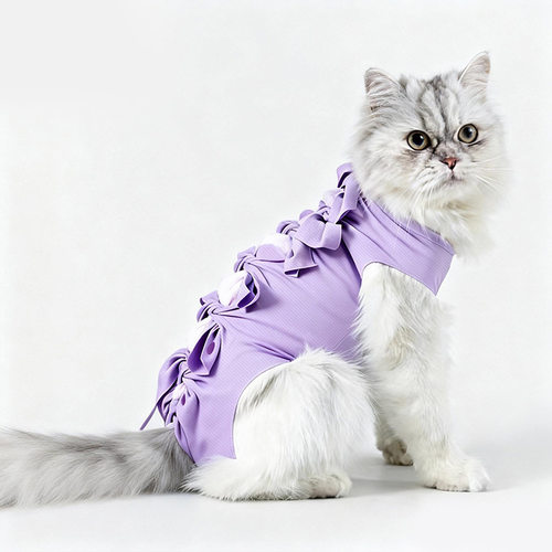 猫咪绝育服术后恢复可调节防舔