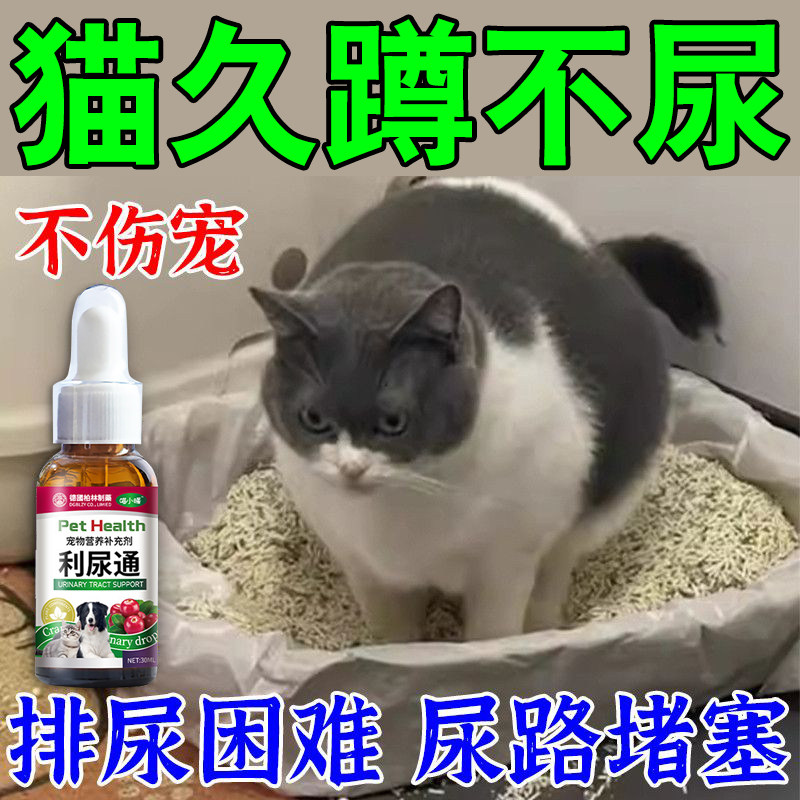 猫咪排不出尿猫尿闭药宠物犬尿道发炎膀胱发炎尿路感染狗狗
