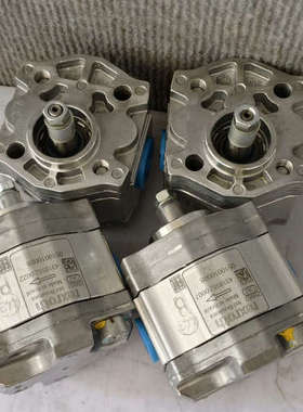 议价商品0510010008 力士乐REXROTH齿轮泵全新正品现货