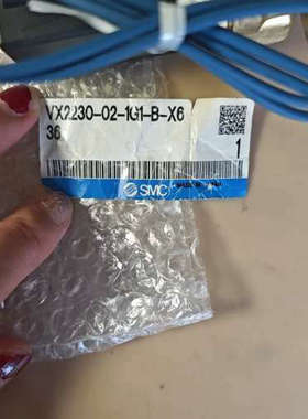 日本SMC原装正品 VX2230-02-1G1-B-X636