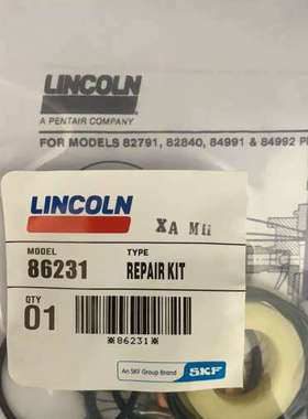 LINCOLN 林肯86231 包密封包
