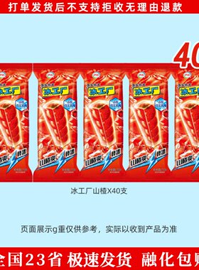 5支蓝莓蜜桃口味冰激凌