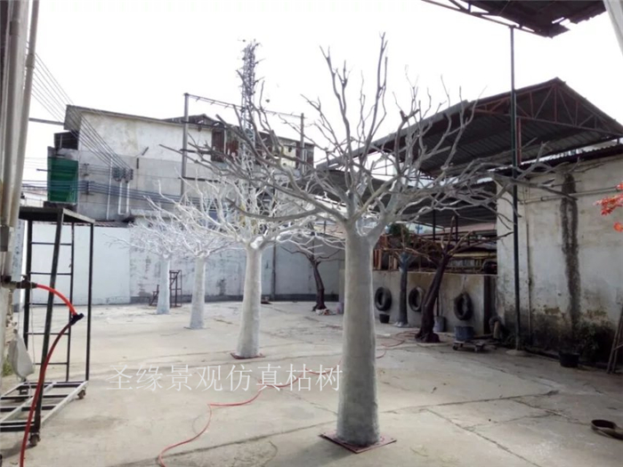 白树枝杆树叉 枯树枝树杆枯树干许愿圣诞挂件道具天然仿真装饰树