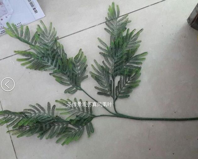 圣缘仿真凤凰树叶人造假凤凰叶橱窗装饰