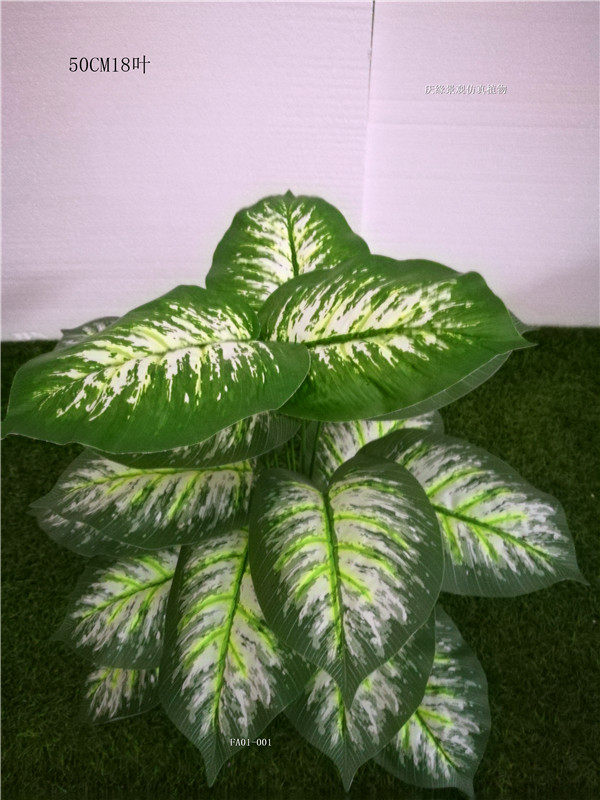 1仿真50cm万年青点缀装饰园艺拍摄道具绿植盆栽