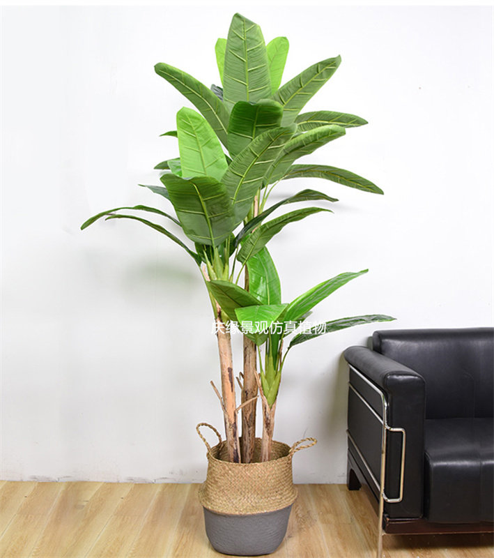 仿真香蕉树大型室内装饰假树造型树造景植物绿植许愿网红打卡