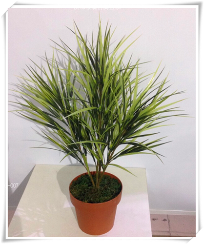 仿真嫩绿叶盆栽人造假草盆栽摄影道具装饰盆栽