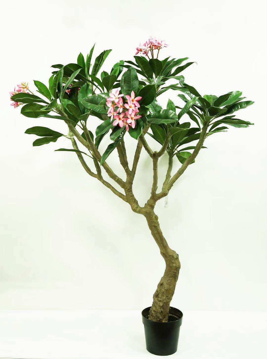 仿真鸡蛋花树定制室内外商场广场公园酒店民宿落地花艺摆件装饰