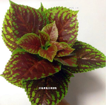 仿真紫苏叶假植物盆栽装饰植物人造紫苏绿色植物 背景装饰假绿植