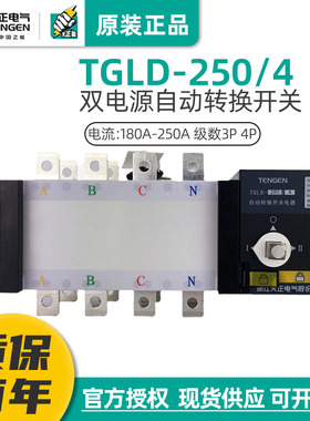 天正TGLD-250/4P双电源自动转换开关160A200A225切换隔离PC级380V