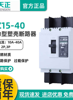 TENGEN天正电气DZ15-40/3902 40A动力型开关 电动机断路器32A 20A