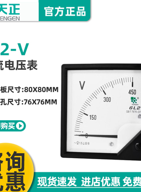 TENGEN天正电气 6L2-V电压表安装式仪表450V 500V交流指针表80*80
