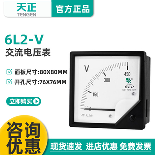 TENGEN天正电气 6L2-V电压表安装式仪表450V 500V交流指针表80*80