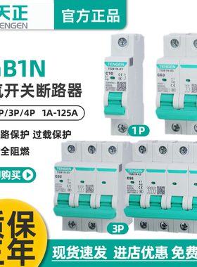 天正电气TGB1N空气开关16A32A断路器1P2P家用3P20A63A4P空开DZ47