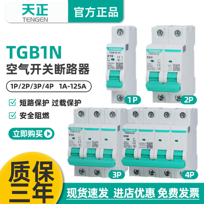 【批发】TGB1N-63天正空气开关