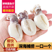 火锅食材新鲜海鲜火锅墨鱼仔海鲜冷冻水产小目鱼仔冷冻含冰5-8只
