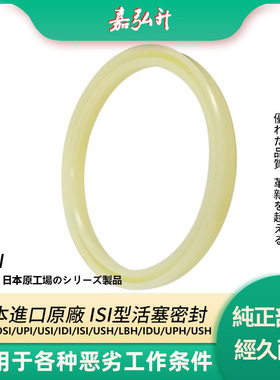 日本进口PU油封密封圈ISI 290/300*315/325*16/FU1748K0/FU1762K0