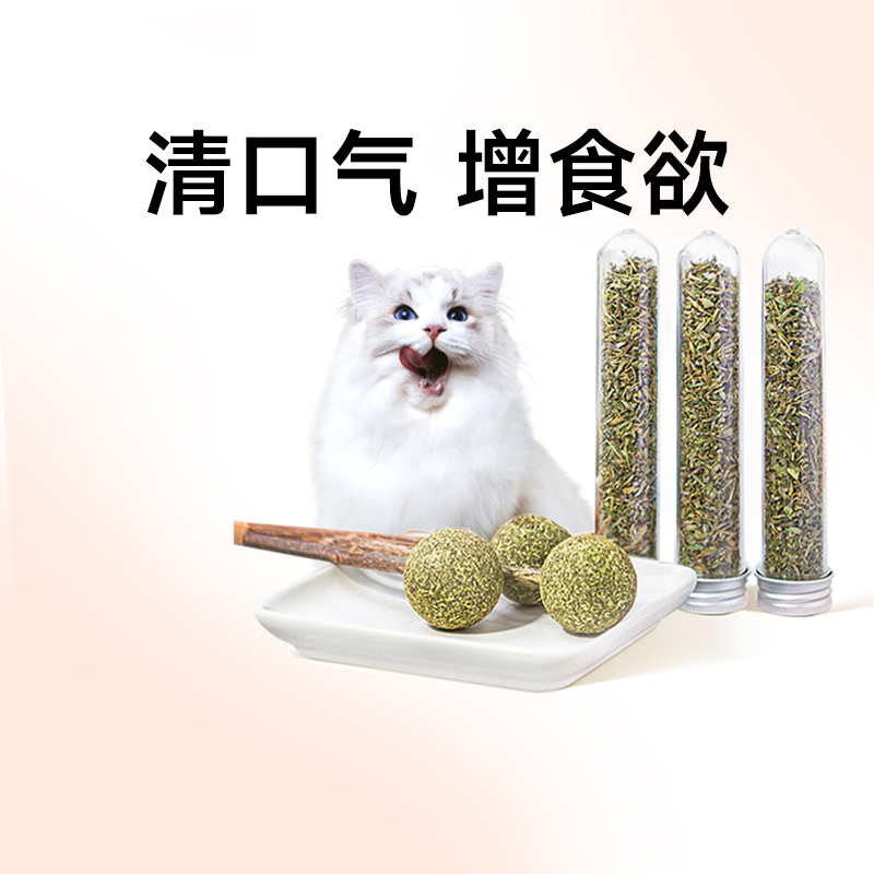 猫薄荷球猫草猫咪磨牙棒棒糖食用粉末幼猫啃自嗨玩具零食耐咬用品 宠物/宠物食品及用品 猫薄荷/木天蓼 原图主图