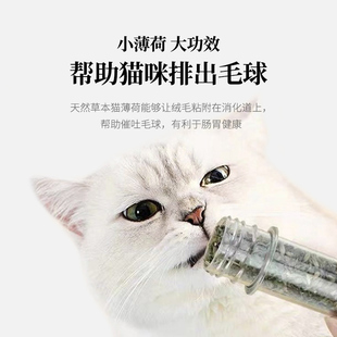 猫薄荷球猫草猫咪磨牙食用粉末幼猫玩具耐咬4只猫薄荷棒棒糖