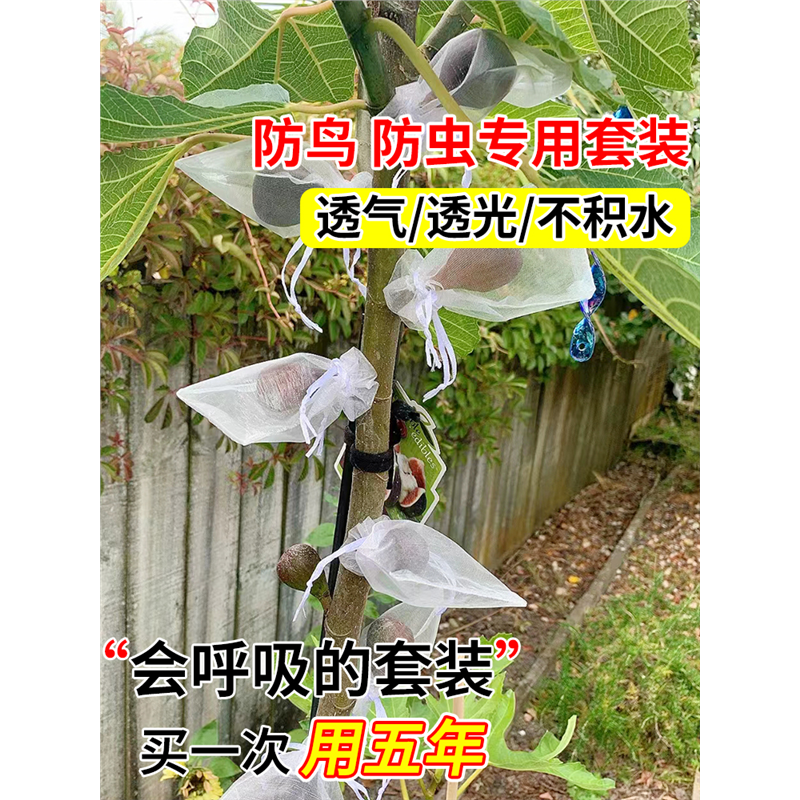 水果套袋防鸟虫专用网葡萄