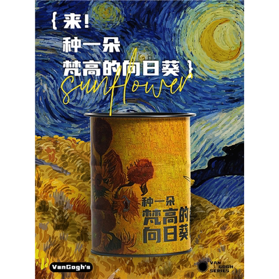 创意种植小盆栽向日葵籽孑