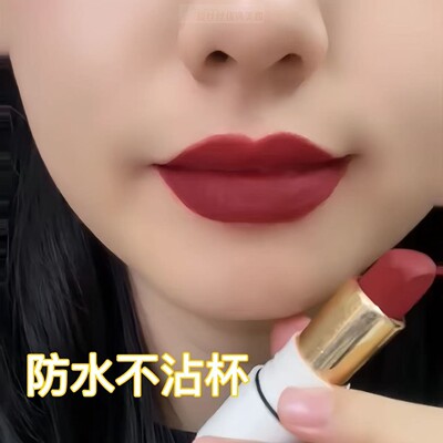 【官方正品】法国复古显白姨妈色口红女不沾杯不掉色哑光持久防水