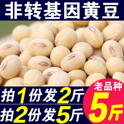 新黄豆1000g非转基因黄豆打豆浆专用黄豆农家自种黄豆大豆土黄豆