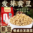 小黄豆发圆粒黄豆发豆芽专用黄黄豆纳豆农家自种黄豆 斤数齐全