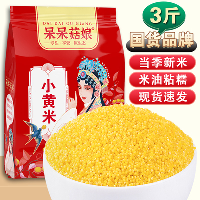呆呆菇娘小黄米3斤/5斤