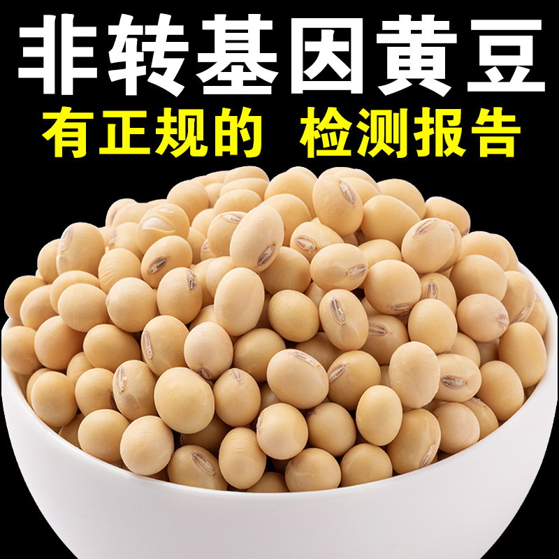 非基因改造黄豆新粮速发老品种黄豆打豆浆炖肉专用笨豆