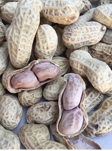 新鲜日晒花生上市 原味花生武平岩前花生 炕酥花生 水煮花生