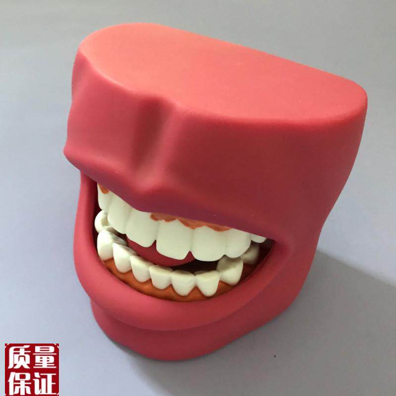人体口腔护理练习模型牙齿训练模u型带脸颊模具
