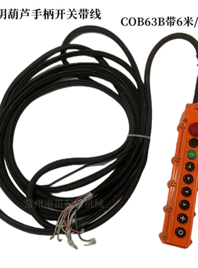 常沈C0B63B常州武进手柄开关带6米/9米手柄线CDK江阴葫芦手电门