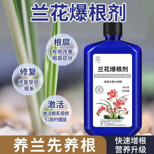 君德兰灵王兰花爆根剂兰花君子兰营养液生根催芽EM菌液微生物菌